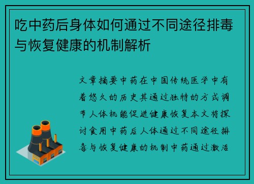 吃中药后身体如何通过不同途径排毒与恢复健康的机制解析