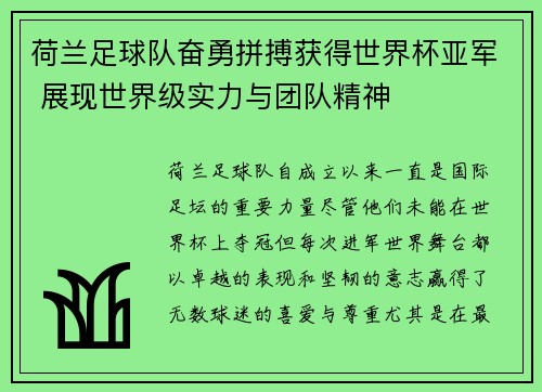 荷兰足球队奋勇拼搏获得世界杯亚军 展现世界级实力与团队精神
